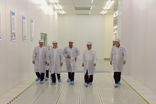 陳清泰調研長江存儲與武漢新芯，共話中國芯片產業發展